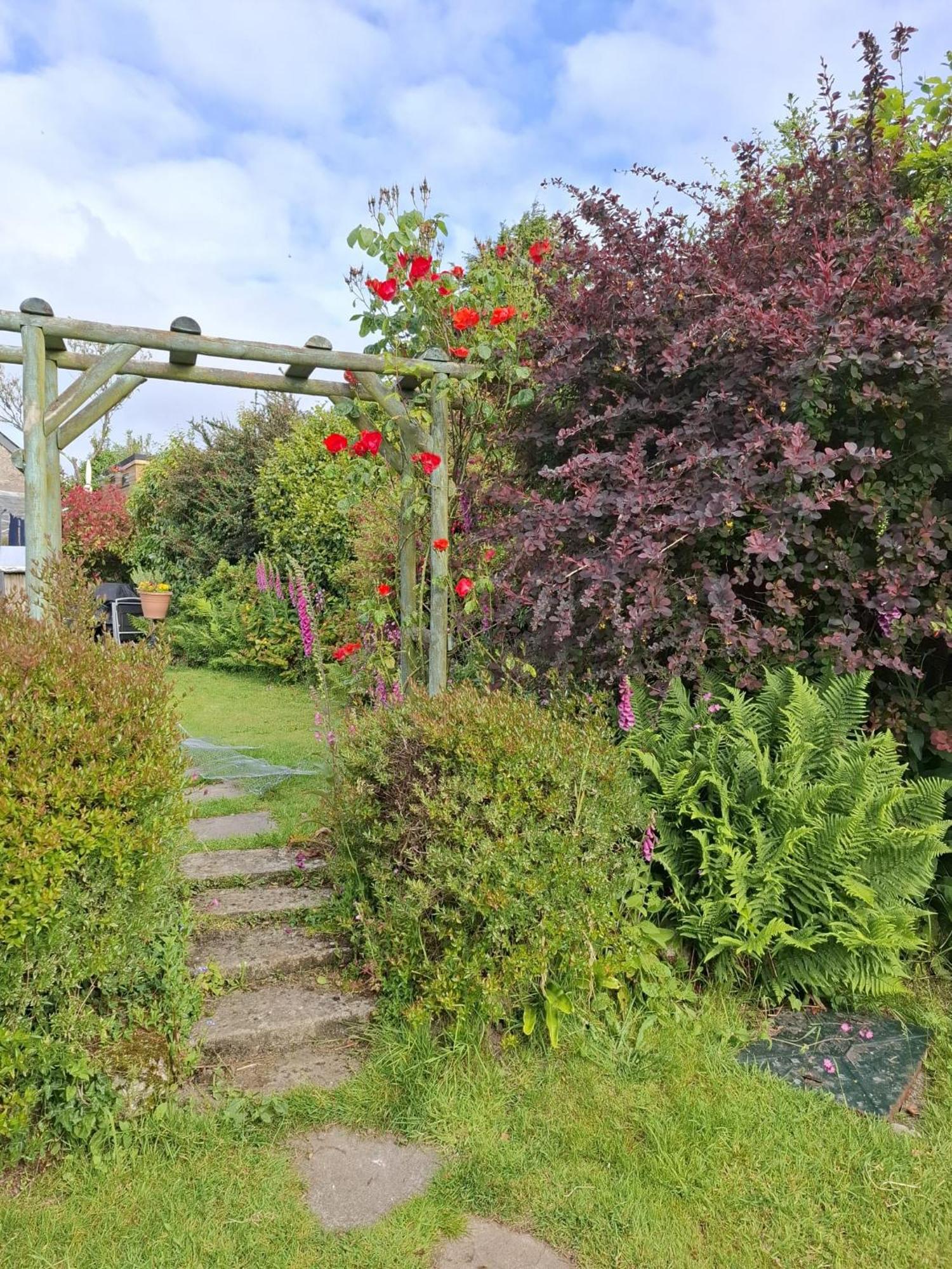 Cosy Cornish Cabin St Austell Ngoại thất bức ảnh
