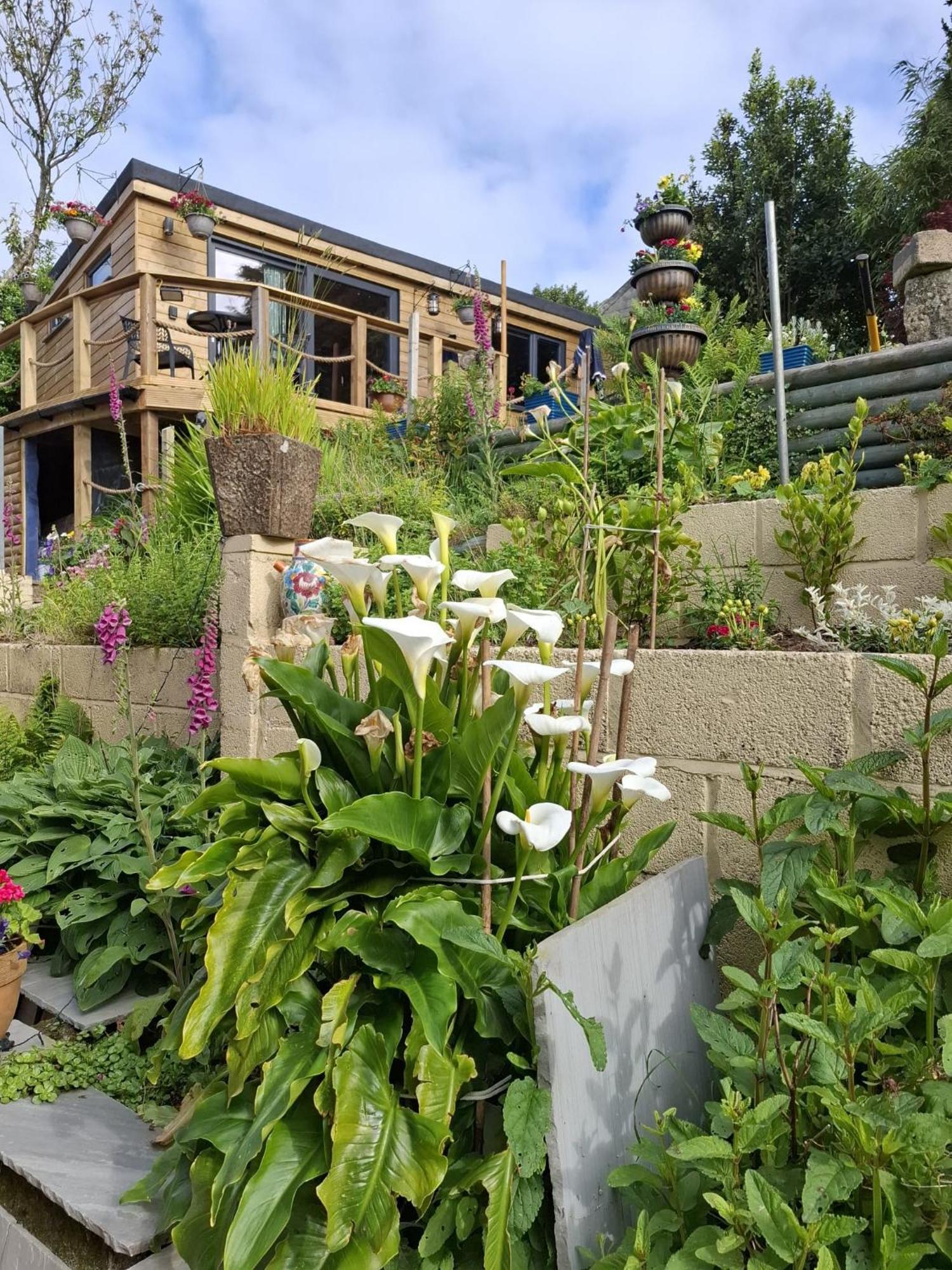 Cosy Cornish Cabin St Austell Ngoại thất bức ảnh