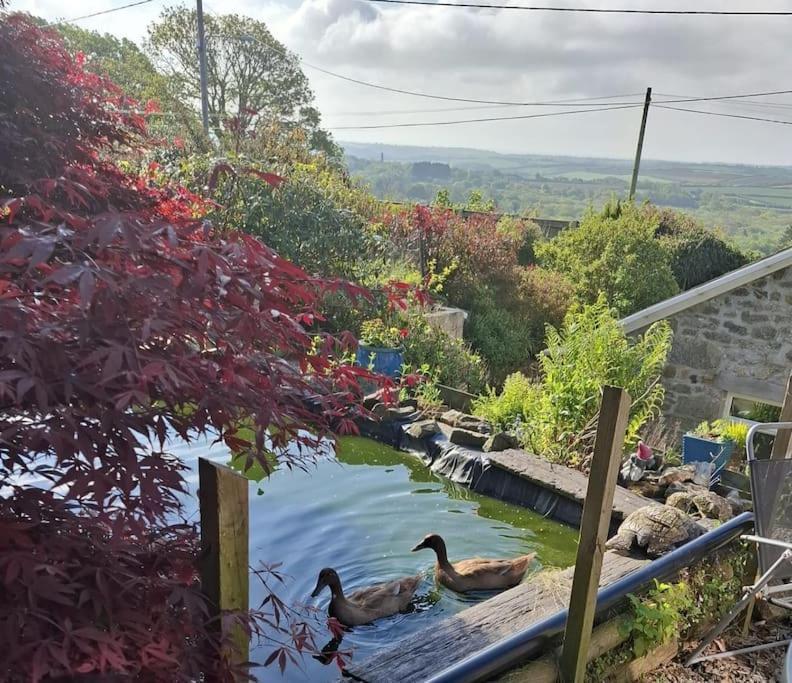 Cosy Cornish Cabin St Austell Ngoại thất bức ảnh