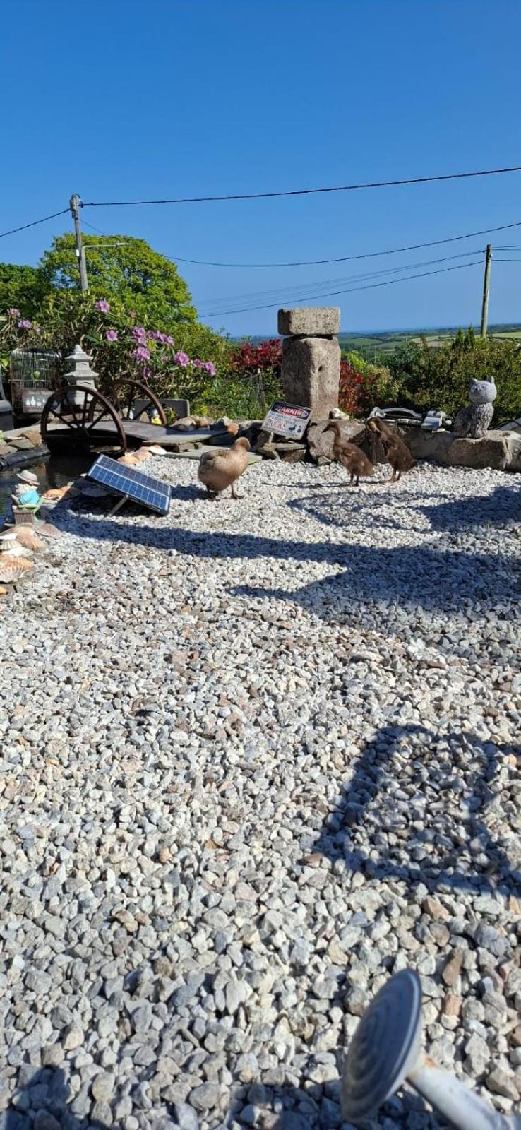 Cosy Cornish Cabin St Austell Ngoại thất bức ảnh
